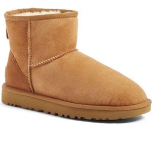 Womens Ugg Mini, Brown Chestnut, Worn twice, Size 8. Excellent condition